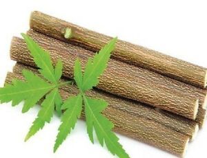 नीम (azadirachta indica) की छाल का हर्बल पाउडर