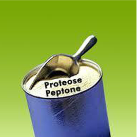 पेप्टोन्स