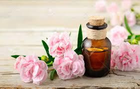 Carnation oil