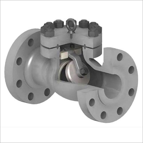 Stainless Steel Check Valve Application: Industrial