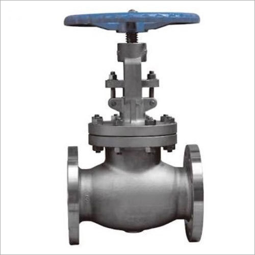 Gray Stainless Steel Globe Valve