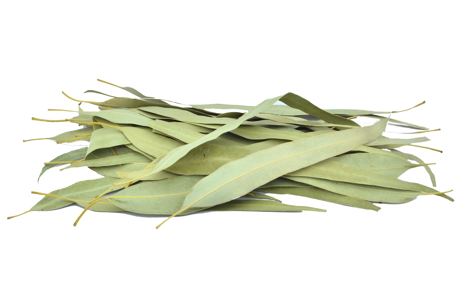 Eucalyptus Leaf Powder Age Group: Suitable For All