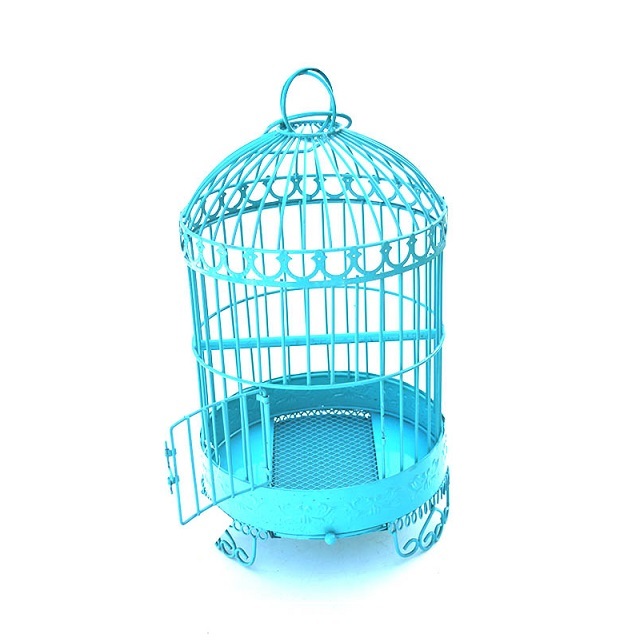 Powder Coated Iron Bird Cage - Metal Material, Enamel Finish, Blue Color | Modern Arts Design, Durable Quality