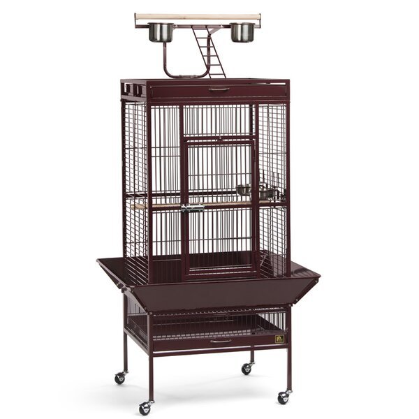 Brass Hanging Metal Iron Birds Cage