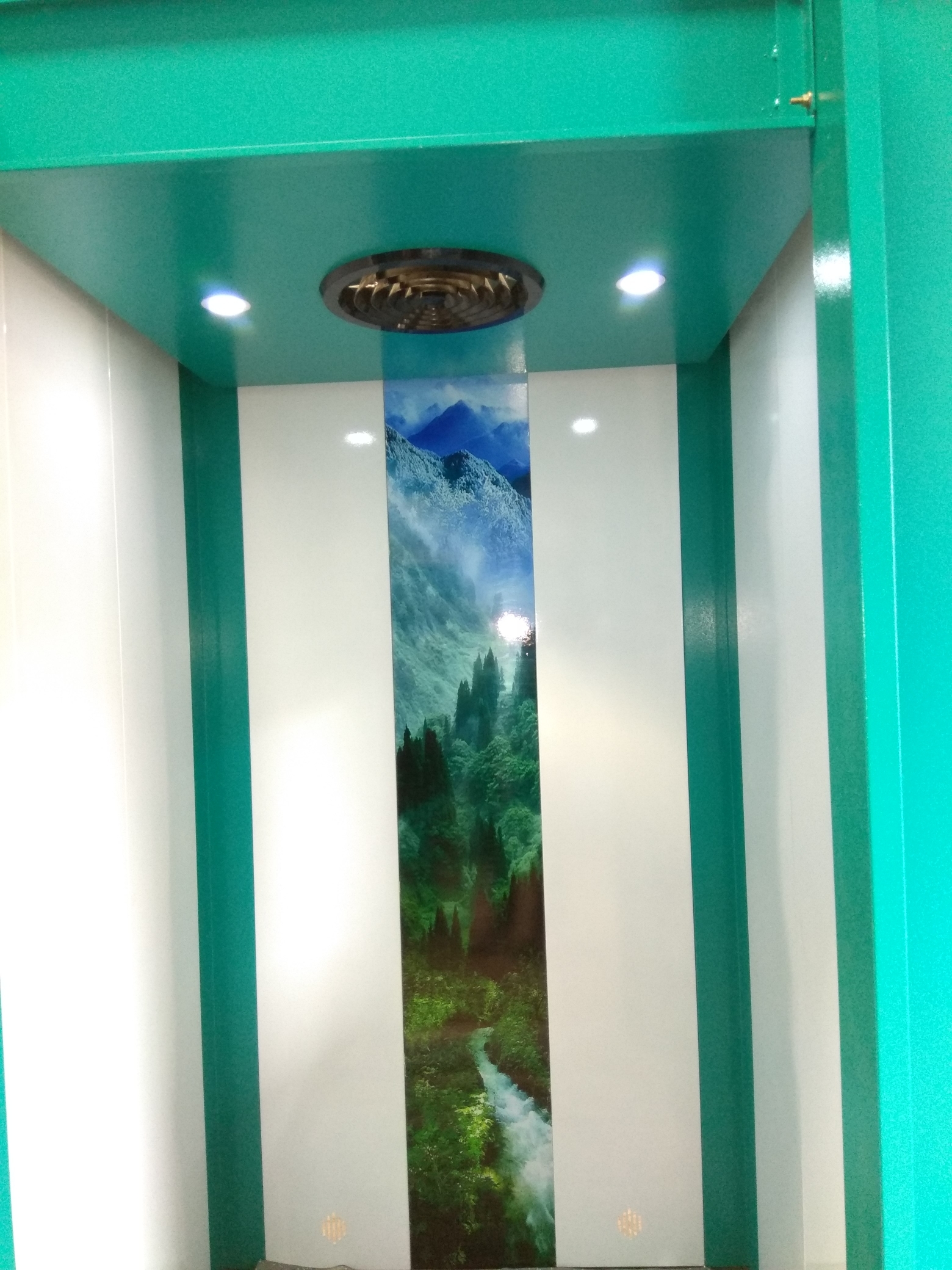 Iron Ms Cabin Lifts