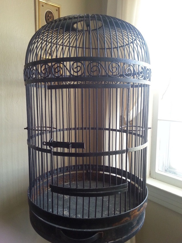Powder Coated Large Vintage Wrought Iron Ornate Beige Bird Cage