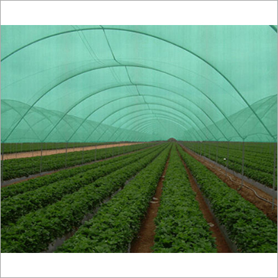 Agriculture Plastic Net - 2m x 50m Green Netting | Super Pressure & Impact Resistance, High Flexibility, Adverse Climate Durability