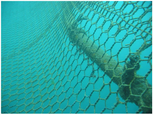 Fish Farm Aquaculture And Net-tying Part