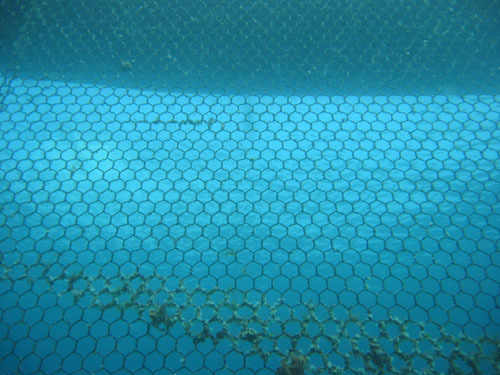 Fish Farm Aquaculture And Net-tying Part