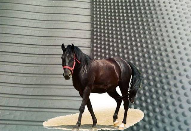 Non-slip Durable Rubber Horse Stable Mats