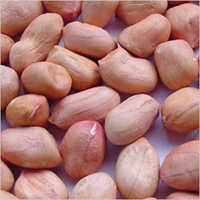 कॉमन होल ग्राउंड नट्स