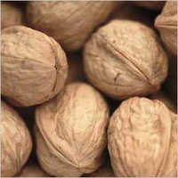 सामान्य ताजा अखरोट