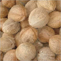 सामान्य ताजा नारियल