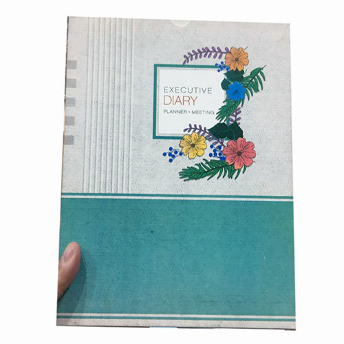 New Year Diary