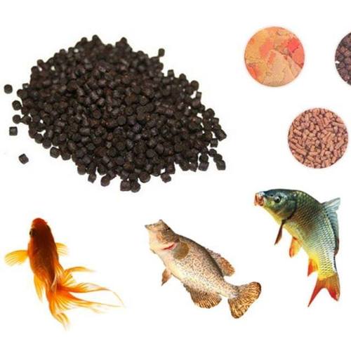 Fish Feed - Protein Powder with Soya and Spirulina, Gray Color, High Moisture (7%), Disease Prevention, Promote Growth, 8% Copper