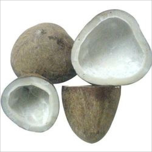 Common Edible Coconut Copra