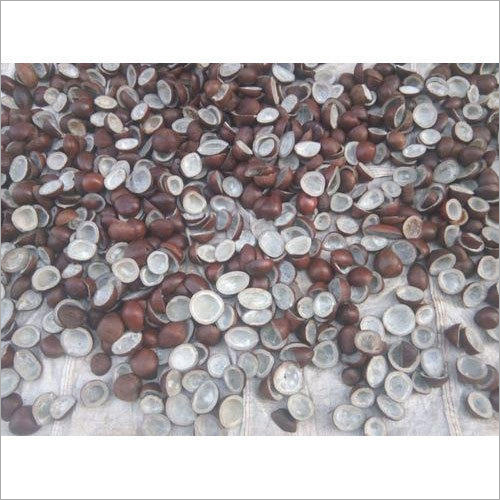 Common Edible Coconut Copra