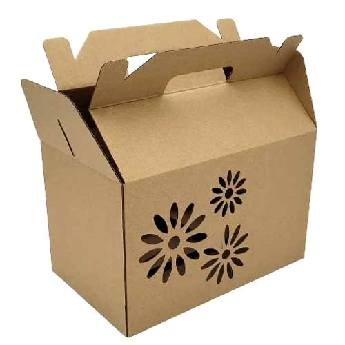 Brown Paper Printed Carton Box - Printing Type: Matt Lamination