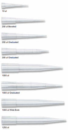 Pipette Tips