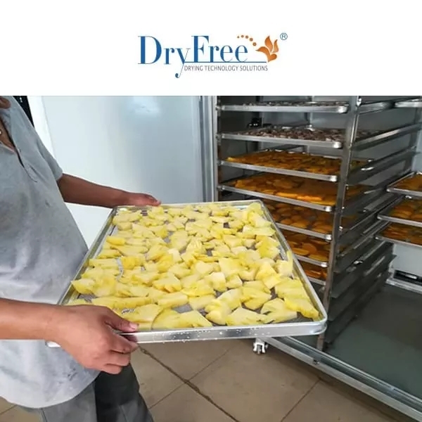 Fruits Dry And Dehumidify Machine - 2800x1100x2300mm, 3.7kw 220v | Energy Saving 80%, Automated Control, Uniform Drying, Heat Recovery
