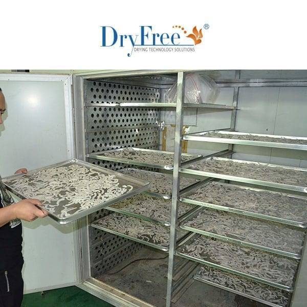 Fruits Dry And Dehumidify Machine - 2800x1100x2300mm, 3.7kw 220v | Energy Saving 80%, Automated Control, Uniform Drying, Heat Recovery