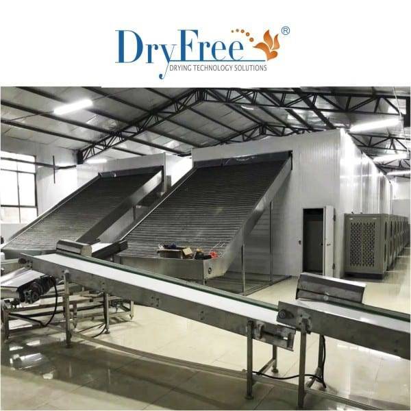 Full-automatic Heat Pump Dry System