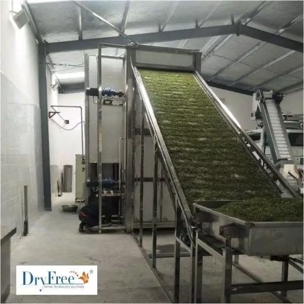 Full-automatic Heat Pump Dry System