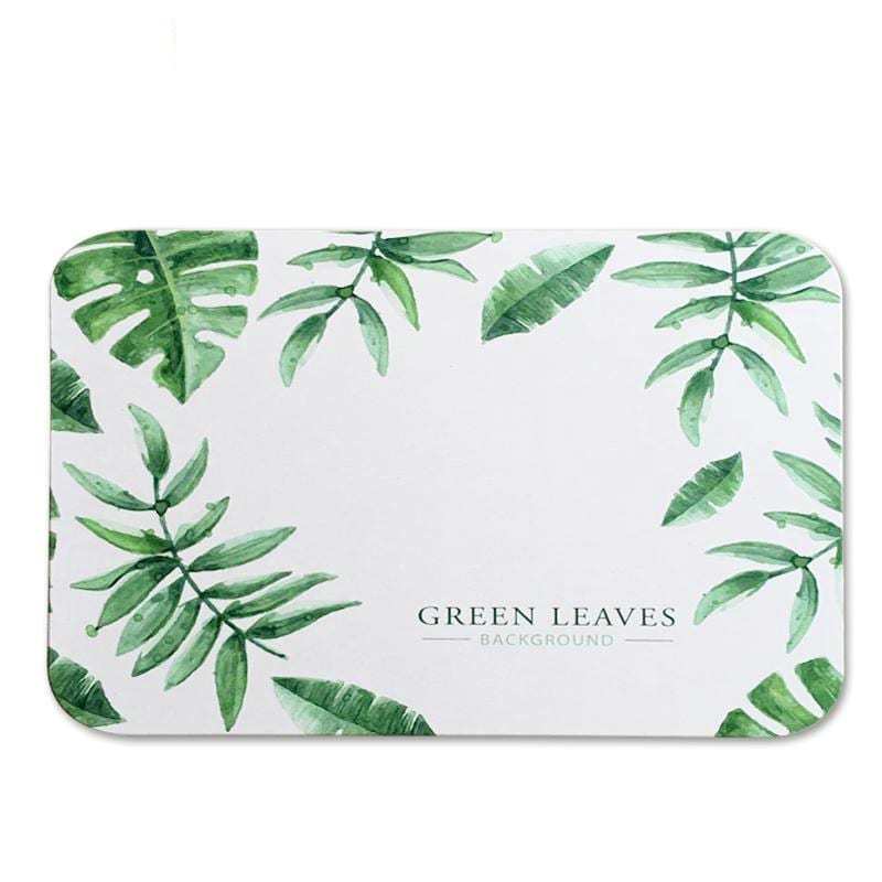 Color Printing Custom Absorbent Diatomic Door Floor Mat