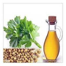 Coriander Oil - Cas No: 8008-52-4