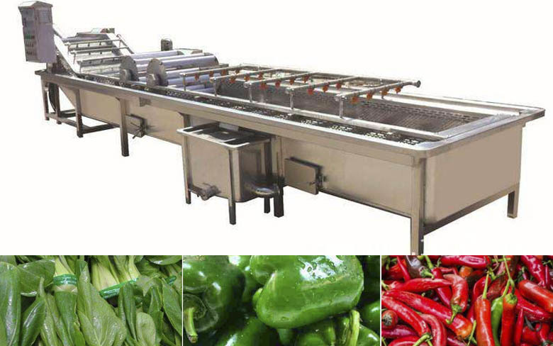 Fruit Washing Machine