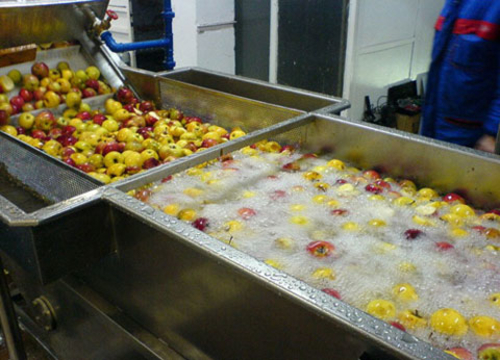 Fruit Washing Machine