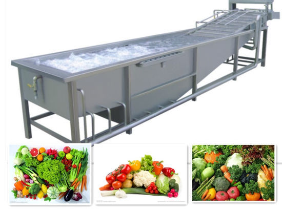 Fruit Washing Machine