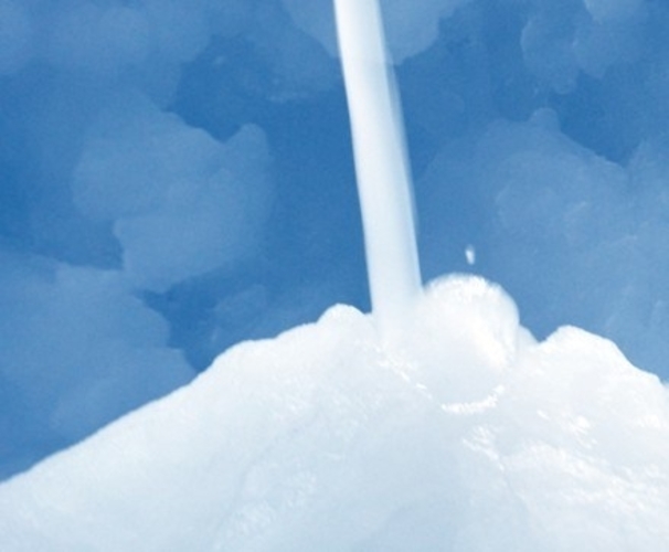 Ice Plant Absolure Zero