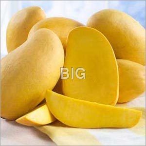 Mango Fruits