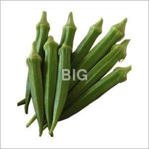 Okra