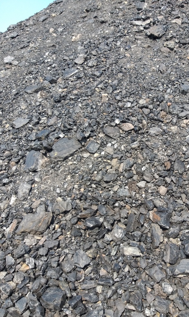 Steam Coal - Calorific Value 4200, Fixed Carbon 31% | Lump Shape, Ash Content 6.8%, Moisture 28%, Volatile Matter 31%, Sulphur Content 0.7%