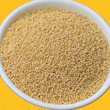 Proso Millet - 99% Pure, Dried | Versatile Grain For Livestock Feed, Bird Seed, Gluten-free Baking, And Beer Brewing
