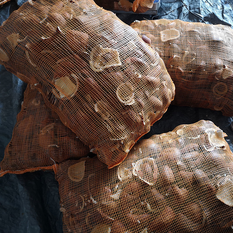 Coconut Charcoal Briquettes Making Machine - Stainless Steel, 2500x1400x1500 Mm | 36 Kw Heat Pump Dryer, Safe Indoor Use, Eco-friendly Production