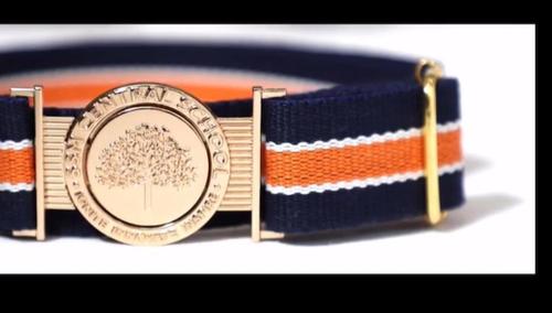 School Belt - Metal & Webbing, 30-40 Inches Long, Navy Color | Adjustable, Comfortable, Durable, Stylish, Easy to Use, 1.5 Inches Wide