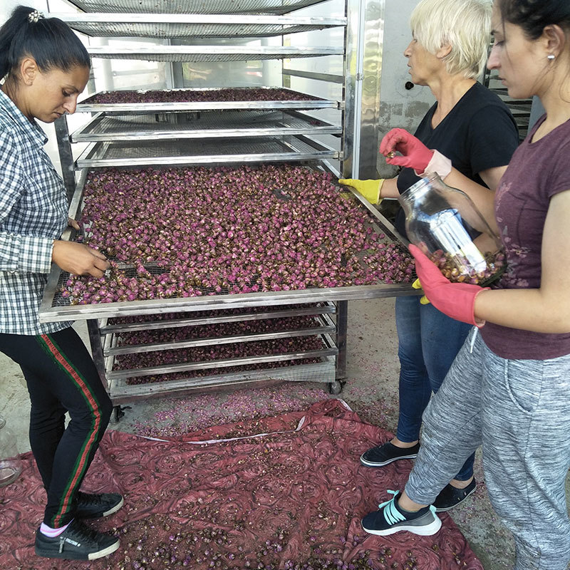 Flower Rose Drying Machine Dimension(l*w*h): 2550x1664x1300 Millimeter (Mm)