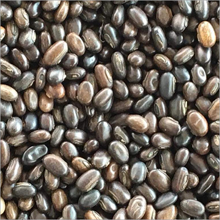 डार्क ब्राउन एमबी सीड