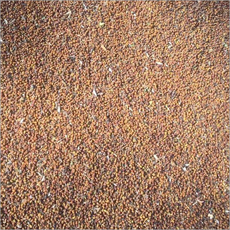 ब्राउन पुएरारिया जावानिका सीड