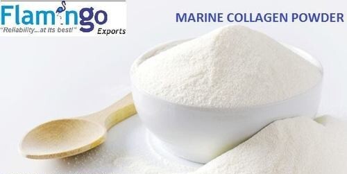Marine Collagen Powder - 99% Purity, White Color | Keto-Friendly, Sustainable, Anti-Aging, Boosts Metabolism, Enhances Hair, Skin, and Nail Health, Supports Wound Healing & Scar Reduction, Reduces Inflammation & Pain