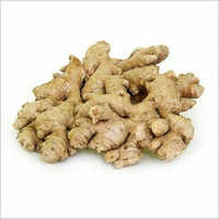 ताजा अदरक