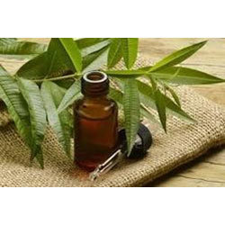Tea Tree Oil Ingredients: Herbal Extract