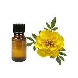 Tagetes Oil Ingredients: Herbal Extract