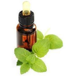 Mentha Arvensis Oil Ingredients: Herbal Extract