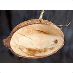 Durable Coconut Shell Bird Feeder