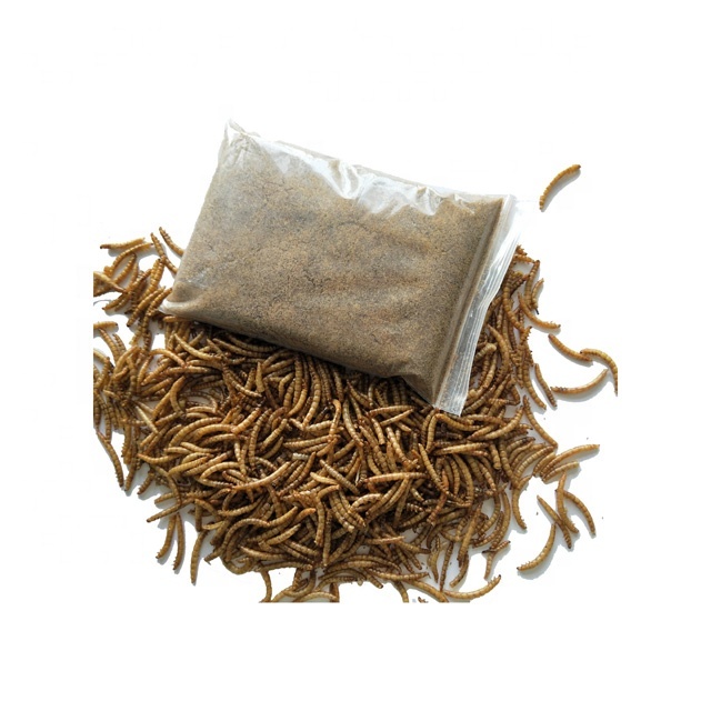 Dried Mealworm Animal Feed Additive