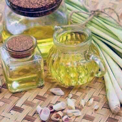 Lemongrass Oil - 100% Pure Therapeutic Essential Oil | Anti-Inflammatory, Anti-Bacterial, Aromatherapeutic Benefits